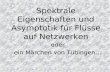 Spektrale Eigenschaften und Asymptotik für Flüsse auf Netzwerken oder ein Märchen von Tübingen…