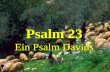 Psalm 23 Ein Psalm Davids. Der Herr ist mein Hirte, mir wird nichts mangeln.