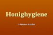 Honighygiene © Werner Schalko. Inhaltsstoffe Zucker Zucker Enzyme Enzyme Mineralstoffe Mineralstoffe Wasser Wasser Sonstige Stoffe (Pinocembrin) Sonstige.