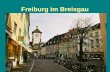 Freiburg im Breisgau. Ein Blick auf die Stadt Wo ist Freiburg? Freiburg ist im Süden Freiburg ist in Baden-Württemberg.