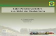 Bahn-Pendlerverkehre aus Sicht der Raaberbahn Dr. Csaba Székely Generaldirektor-Stv. Raaberbahn AG ÖVG, Öffentlicher Verkehr in Ballungsräumen, 27.6.2013.