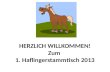 HERZLICH WILLKOMMEN! Zum 1. Haflingerstammtisch 2013.