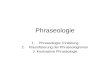 Phraseologie 1.Phraseologie: Einleitung 2.Klassifizierung der Phraseologismen 3. Kontrastive Phraseologie.