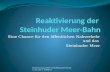 Eine Chance für den öffentlichen Nahverkehr und das Steinhuder Meer Reaktvierung StMB N.Hoffmann/H.Brand 13.02.2014 StMB eV.