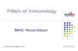 Pillars of Immunology MHC Restriktion Andreas Kugemann 01.03.2011.