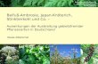 Beate Alberternst Beifuß-Ambrosie, Japan-Knöterich, Stinktierkohl und Co. – Auswirkungen der Ausbreitung gebietsfremder Pflanzenarten in Deutschland Projektgruppe.