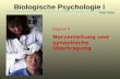 Kapitel 4 Nervenleitung und synaptische Übertragung Biologische Psychologie I Peter Walla.