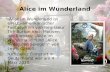 Alice im Wunderland Alice im Wunderland ist ein US-amerikanischer Fantasy- Film von Regisseur Tim Burton nach Motiven der Romane Alice im Wunderland und.