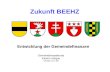 Zukunft BEEHZ Entwicklung der Gemeindefinanzen Gemeindeinspektorat Kanton Aargau Version 27.1.09.
