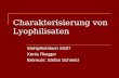 Charakterisierung von Lyophilisaten Wahlpflichtfach SS07 Xenia Riegger Betreuer: Stefan Schneid.