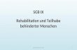 SGB IX Rehabilitation und Teilhabe behinderter Menschen powered by Semmler Media1.