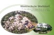 Waldschule Walldorf  Eine offene Ganztagsschule als kreativ- innovative Lerninsel im Wald.