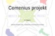 Comenius projekt In Ungarn ENERGIE SPAREN | MÜLL VERMEIDEN | RESSOURCEN SCHONEN.