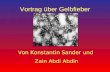 Vortrag über Gelbfieber Von Konstantin Sander und Zain Abdi Abdin.