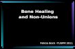 Bone Healing and Non Unions[1]