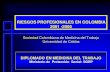 17-AGROINDUSTRIA RIESGOS PROFESIONALES(3)