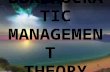 Bureaucratic Management Theory