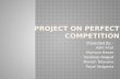 Project on Perfect Competition