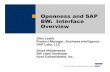 Openness and SAP BW - Interface Overview