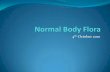Normal Body Flora PPT