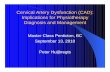 Cervical Artery Dysfunction: Implications for Physiotherapy Diagnosis and Management
