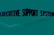 Executive Support System Ppt