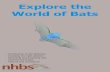 NHBS | Explore the World of Bats