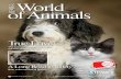 IFAW "World of Animals" Magazine vol. 1 issue 4