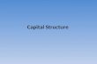 Capital Structure of TCS