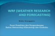 Wrf (Weather Research and Forecasting)