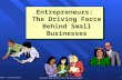 Chap 01 Entrepreneur the Driving Force Behind Small Business