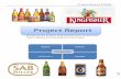 Mkt Project-Beer India
