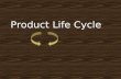 Product Life Cycle_ IIPS