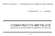 Constructii Metalice 3 - Dan Mateescu