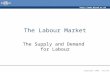 The Labour Market Supply and Demand