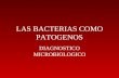 LAS BACTERIAS COMO PATOGENOS DIAGNOSTICO MICROBIOLOGICO.