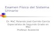 Examen Físico del Sistema Urinario Dr. MsC Rolando José Garrido García Especialista de Segundo Grado en MGI Profesor Asistente.
