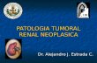 PATOLOGIA TUMORAL RENAL NEOPLASICA Dr. Alejandro J. Estrada C.