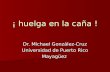 ¡ huelga en la caña ! Dr. Michael González-Cruz Universidad de Puerto Rico Mayagüez.