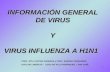 1 INFORMACIÓN GENERAL DE VIRUS Y VIRUS INFLUENZA A H1N1 PROF. RITA CASTRO ANDREINI y PROF. SANDRA FERNANDEZ LICEO DE LIBERTAD - LICEO DE VILLA RODRIGUEZ.