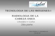 TECNOLOGIA DE LAS IMÁGENES I RADIOLOGIA DE LA CABEZA OSEA CRANEO Y CARA 2da.parte DRA MARIA C GARIBOLDI 28-05-09.