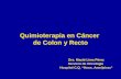Quimioterapia en Cáncer de Colon y Recto Dra. Mayté Lima Pérez Servicio de Oncología Hospital C.Q. “Hnos. Ameijeiras”