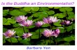 Buddhism & Environmental Conservation