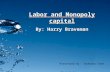 S05a - Labour and Monopoly Capital