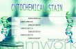 Cytochemical Stain
