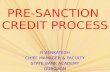 Pre-sanction Credit Process