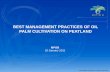 3- MPOB’s Guidelines for Oil Palm on Peat (Tarmizi)