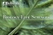 Bellwork Biology/Life Sciences