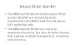 K - 8 Blood Brain Barrier (Biokimia).ppt
