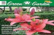 Green Garden 45